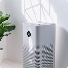 Air Purifier and Humidifier