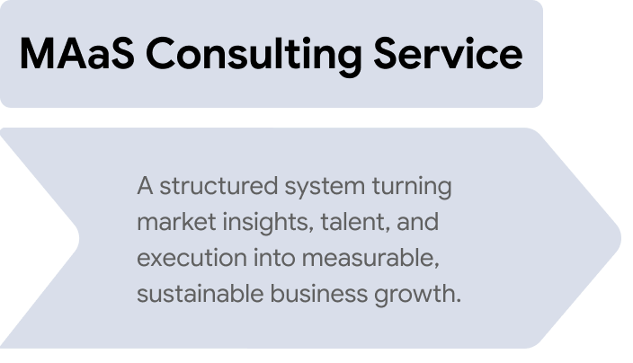 MAaS Consulting Service