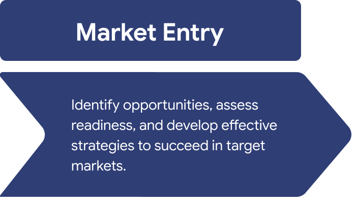 Market Entry